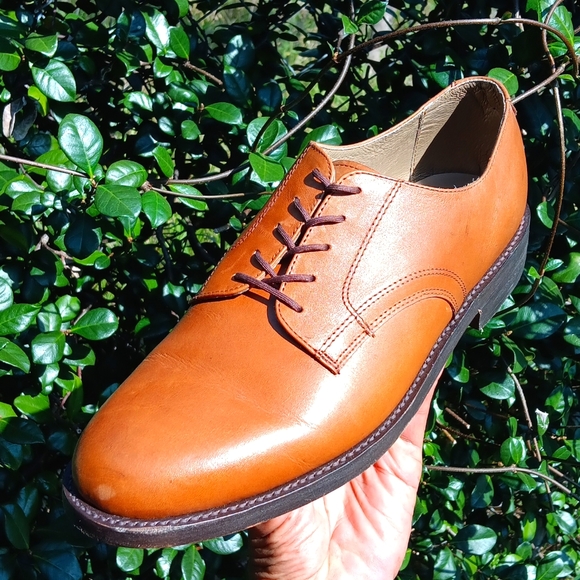 HITCHCOCK MEN\'S LUXURY OXFORD # 68511  21 main image 11